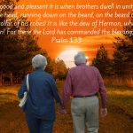 Grandmama and Granddaddy walking hand in hand at sunset with the words of Psalm 133 above them.