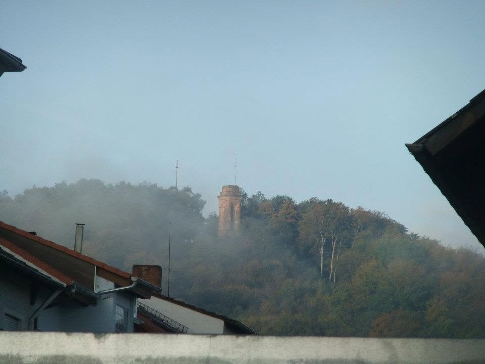 Fog over the wooded hillside viewed from our temporary housing in Germany