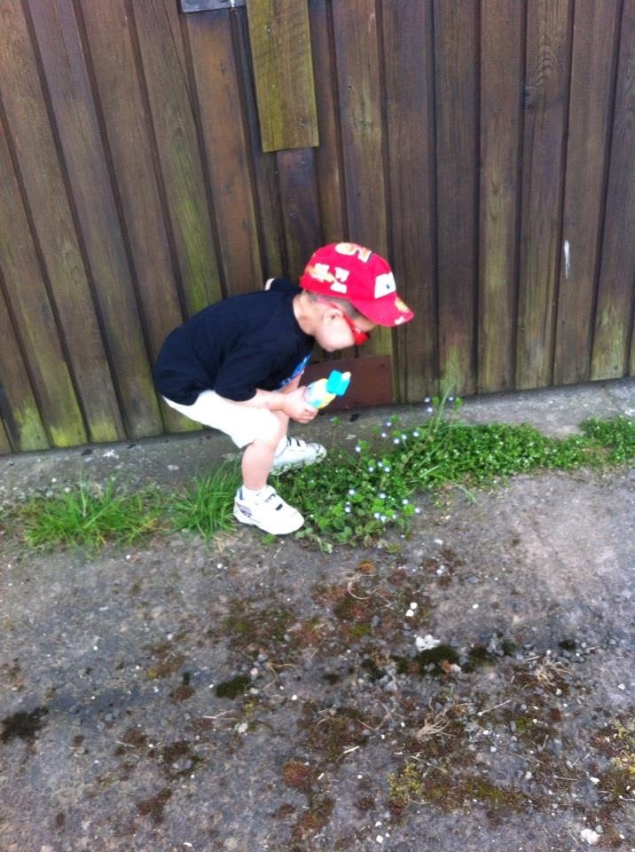 Young boy crouching down to examine something among the flowers beside a wooden building