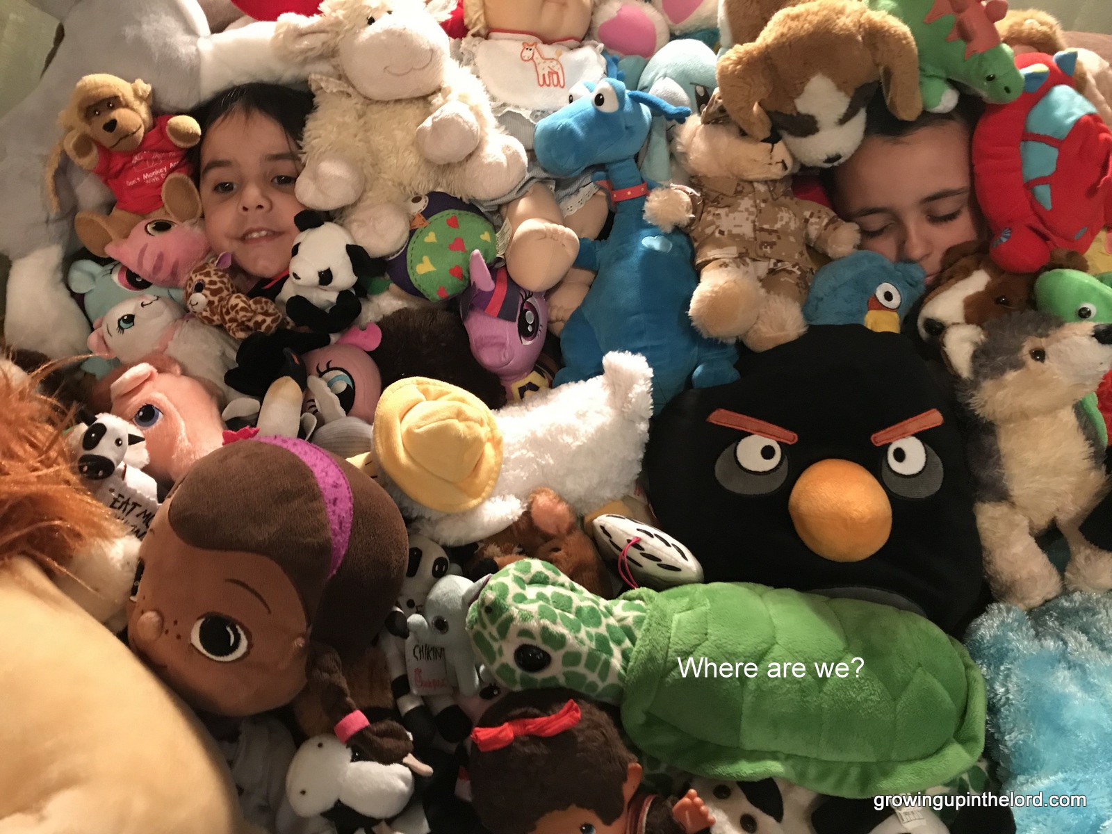 Two children hide beneath a large pile of stuffed animals with the words “Where are we?”