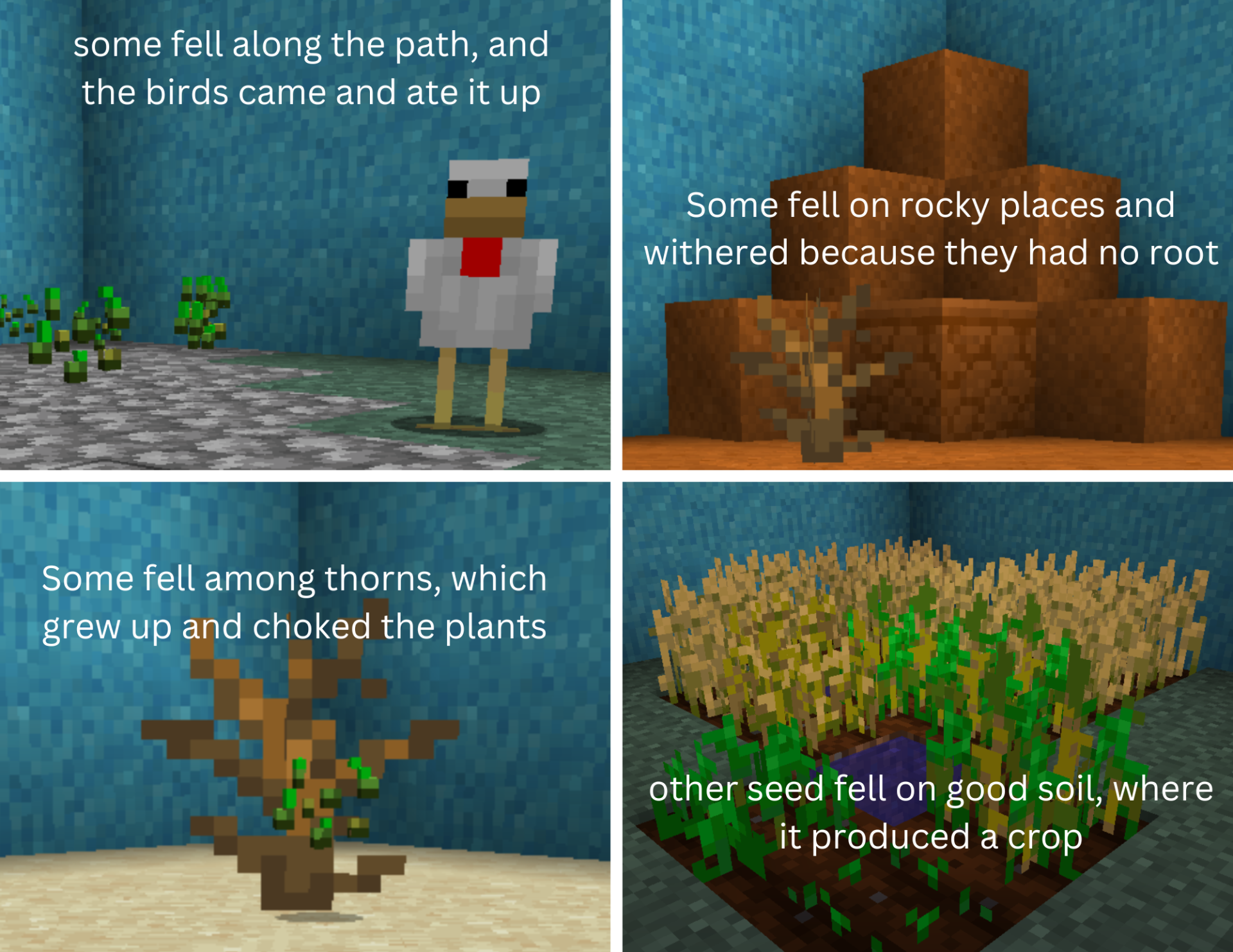 Dietrich's 2022 LTC artwork illustrating the parable of the sower with seeds along the path, on rocky ground, among thorns, and in good soil.