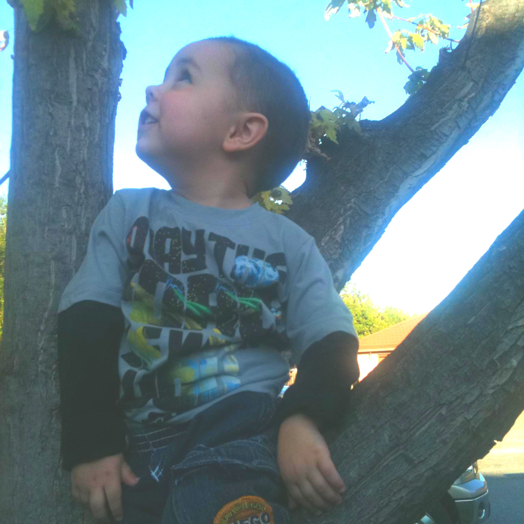 Young boy sitting in a tree during an ordinary family day that became a favorite memory.