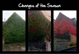 Three views of the same German landscape changing from green summer foliage to brilliant red autumn leaves