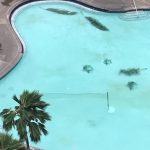 Palm branches blown into a hotel swimming pool during Hurricane Lane in Maui