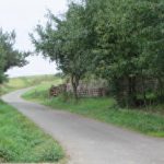 A narrow road curves uphill through green trees and grass near our home in Germany.