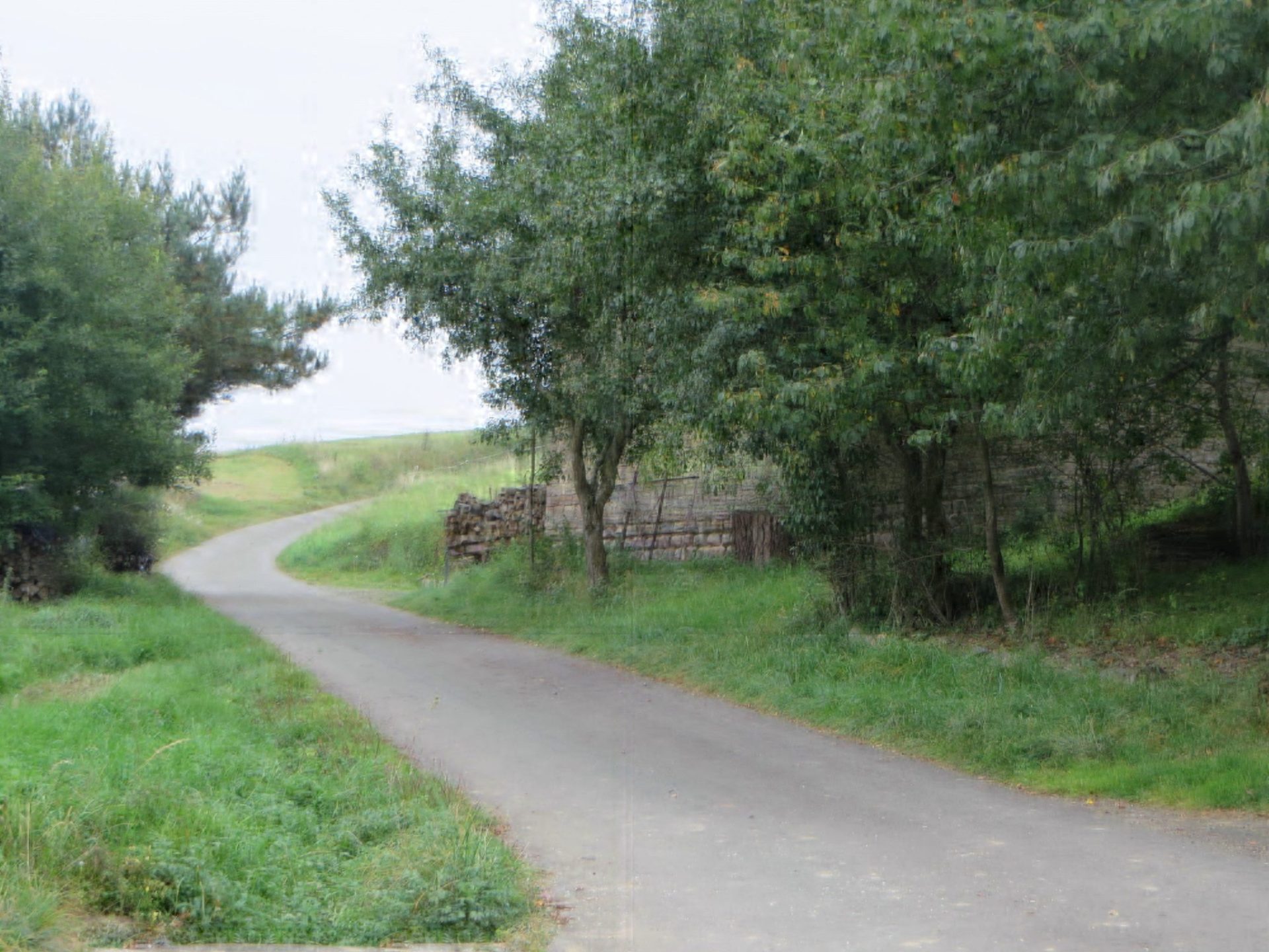 A narrow road curves uphill through green trees and grass near our home in Germany.