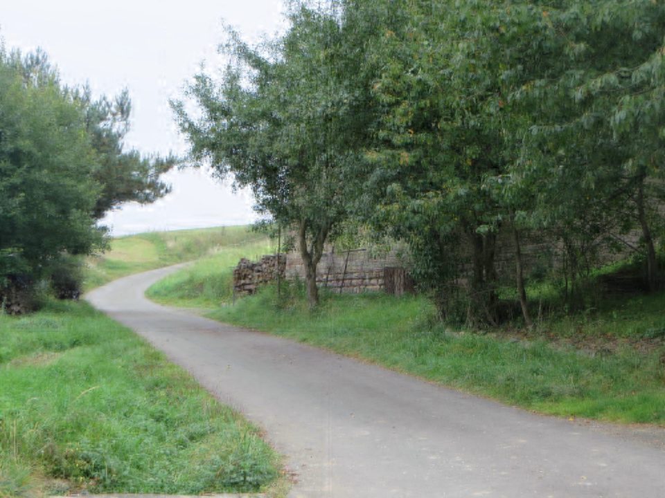 A quiet paved road curves uphill through green trees toward an open hillside in Germany.